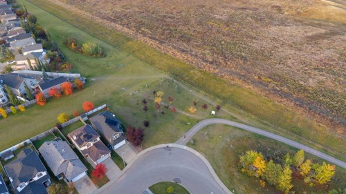 175 Coverton Heights Ne, Calgary, AB 