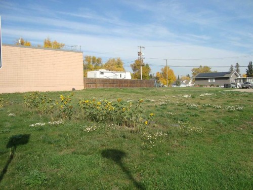 218 Main Street, Trochu, AB 