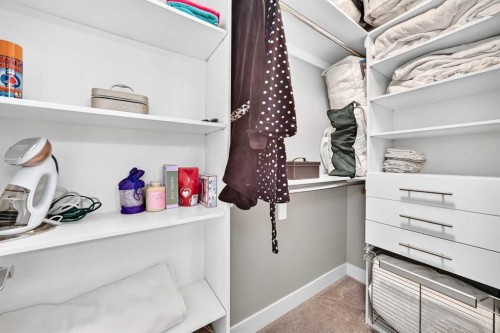 4117 16A Street Sw, Calgary, AB 
