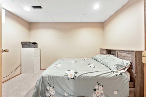 101 Sun Canyon Way Se, Calgary, AB 