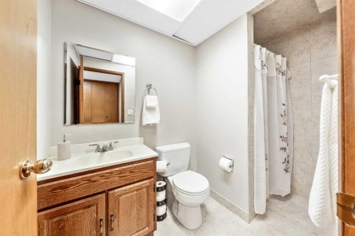101 Sun Canyon Way Se, Calgary, AB 