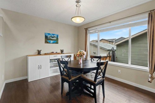 300 New Brighton Landing Se, Calgary, AB 