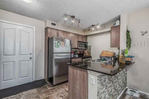 408-7110 80 Avenue Ne, Calgary, AB 