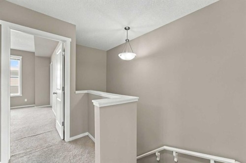 19 Savanna Street Ne, Calgary, AB 