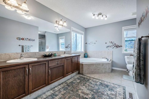 93 Cimarron Vista Circle, Okotoks, AB 