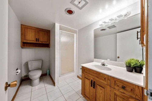 28 Brazeau Crescent Sw, Calgary, AB 