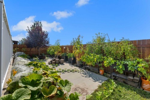 353 Kinniburgh Boulevard, Chestermere, AB - Outdoor