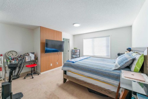 249 Copperpond Landing Se, Calgary, AB 