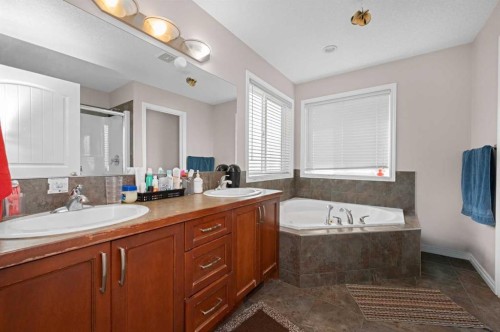 316 Saddlemont Boulevard Ne, Calgary, AB 