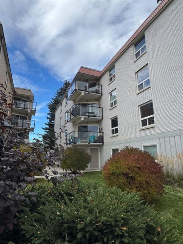 202-520 Cedar Crescent Sw, Calgary, AB 