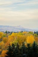 610-1111 6 Avenue SWCalgary, AB T2P 5M5