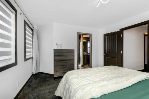 115 Skyview Springs Gardens Ne, Calgary, AB 