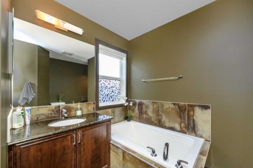 115 Skyview Springs Gardens Ne, Calgary, AB 