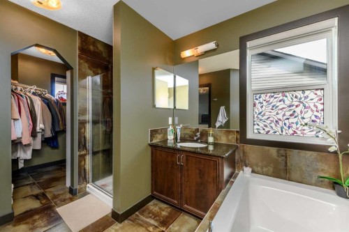 115 Skyview Springs Gardens Ne, Calgary, AB 