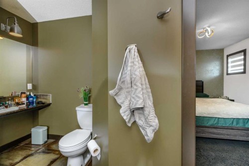 115 Skyview Springs Gardens Ne, Calgary, AB 
