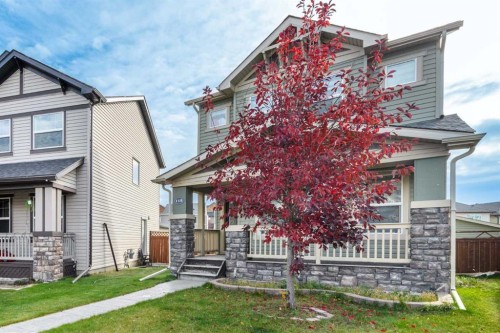 115 Skyview Springs Gardens Ne, Calgary, AB 