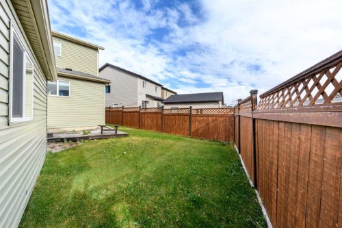 115 Skyview Springs Gardens Ne, Calgary, AB 