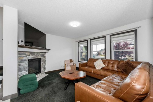 115 Skyview Springs Gardens Ne, Calgary, AB 