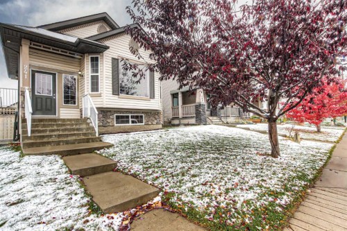 241 Morningside Gardens SW Airdrie, AB T4B 0K3