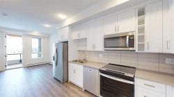 528-3932 University Avenue NW Calgary, AB T3B 6P6