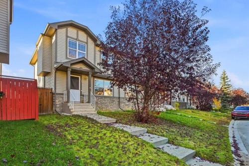 33 Saddlebrook Common Ne, Calgary, AB 
