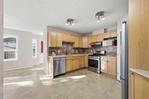 33 Saddlebrook Common Ne, Calgary, AB 