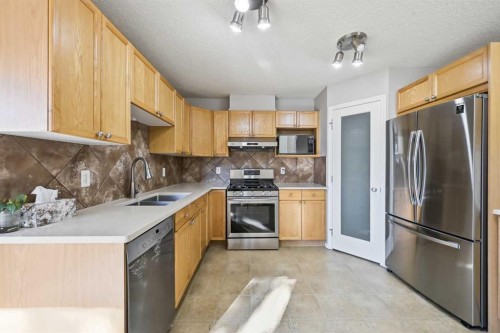 33 Saddlebrook Common Ne, Calgary, AB 