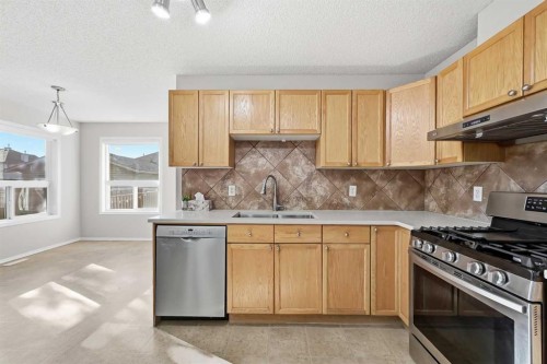 33 Saddlebrook Common Ne, Calgary, AB 