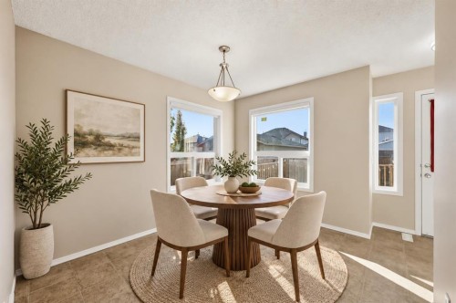 33 Saddlebrook Common Ne, Calgary, AB 
