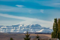 316-30 Cranfield Link SE Calgary, AB T3M 0C4