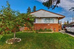 3714 Dover Ridge Drive SE Calgary, AB T2B 2C8