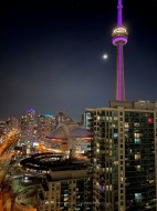 3212-10 York Street  Toronto, ON M5J 0E1