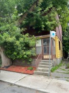 167 Craven Road Toronto, ON M4L 2Z5