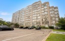 202-175 Cedar Avenue, Richmond Hill, ON 