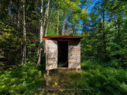 Lot 40 Road 4 N, Thunder Bay Remote Area, ON 