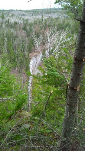 Lot 40 Road 4 N, Thunder Bay Remote Area, ON 