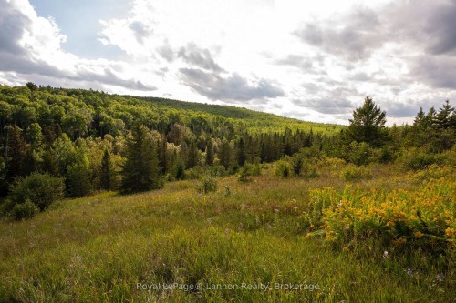 6627 Dawson Road, Thunder Bay Remote Area, ON 