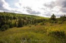 6627 Dawson Road, Thunder Bay Remote Area, ON 