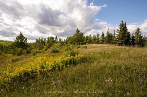 6627 Dawson Road, Thunder Bay Remote Area, ON 