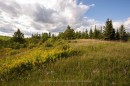 6627 Dawson Road, Thunder Bay Remote Area, ON 