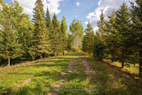 6627 Dawson Road, Thunder Bay Remote Area, ON 