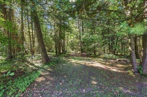 43B Brights Lane, Trent Hills, ON 