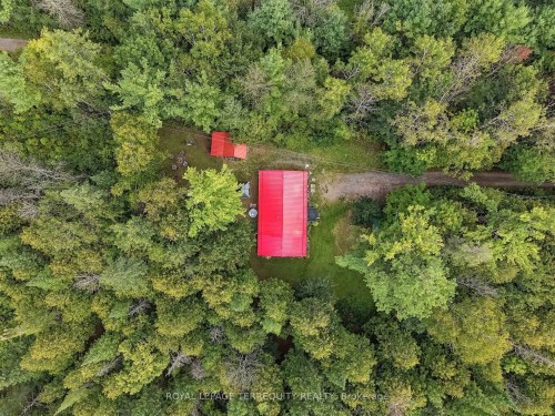 43B Brights Lane, Trent Hills, ON 
