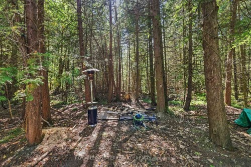 43B Brights Lane, Trent Hills, ON 