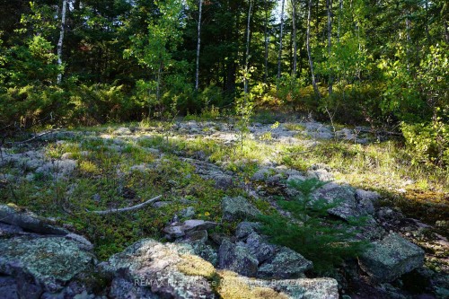 145 Little Sand Lake N/A, Kenora Remote Area, ON 