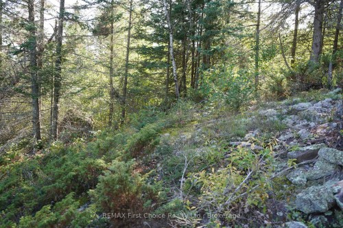 145 Little Sand Lake N/A, Kenora Remote Area, ON 