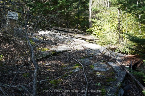 145 Little Sand Lake N/A, Kenora Remote Area, ON 