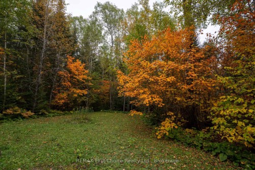6590 Townline Road, Thunder Bay, ON 