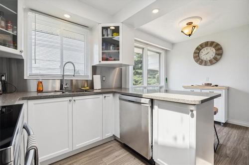251 Green Mountain Road E, Stoney Creek, ON - Indoor Photo Showing Kitchen With Double Sink