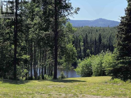 24410 Verdun Bishop Forest Service Road, Burns Lake, BC - Outdoor With View